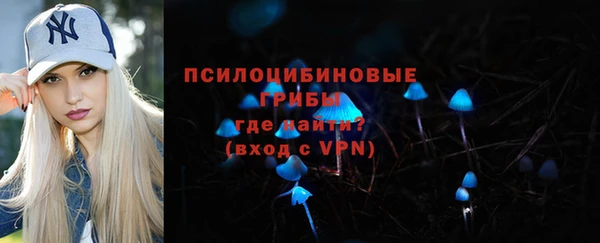 твердый Иннополис