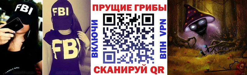 blacksprut ссылки где продают наркотики Петушки Псилоцибиновые грибы Psilocybine cubensis